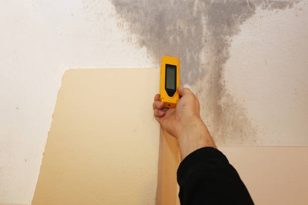 Best Mold Prevention Services  in Winfield, IL