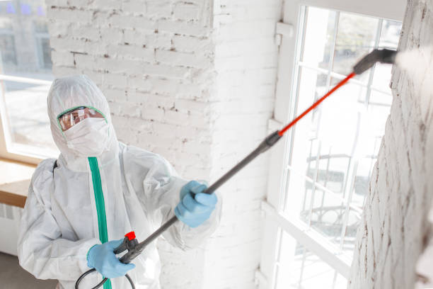 Best Commercial Mold Inspection  in Winfield, IL